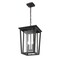 Z-Lite Seoul 2 Light Outdoor Chain Mount Ceiling Fixture, Black & Clear 571CHB-BK - alternate 5